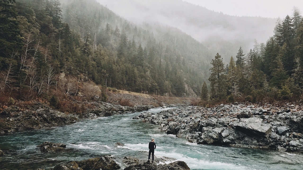 Following Your Heart in Nature